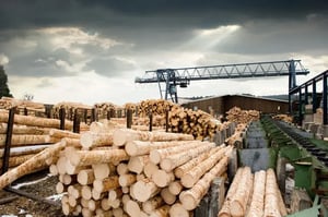 Industries_Sawmilling