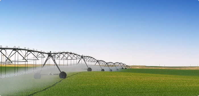 Irrigation
