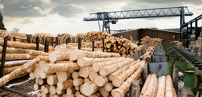Sawmilling